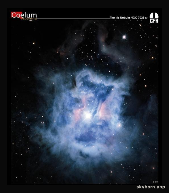 The Iris Nebula from CFHT