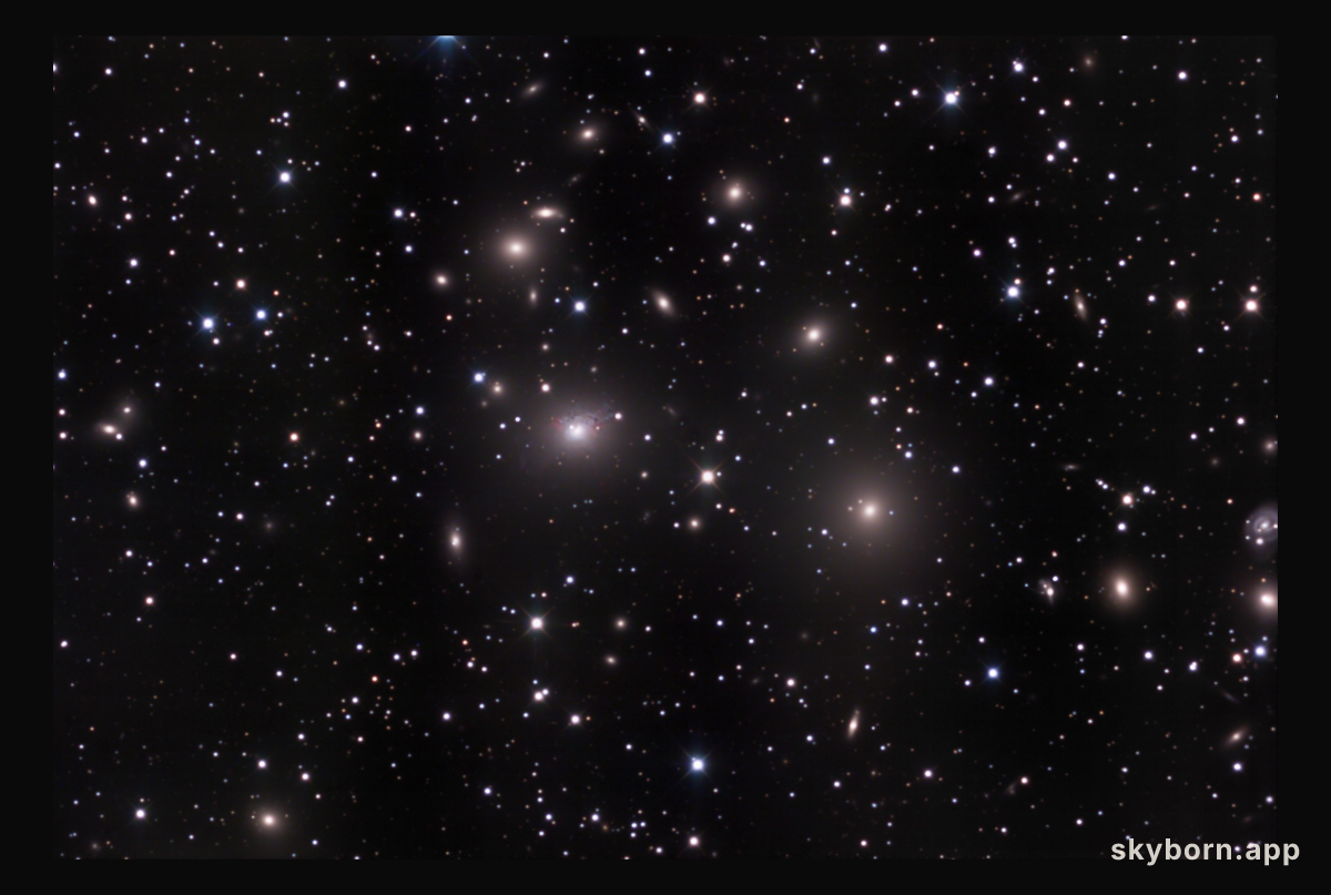The Perseus Cluster of Galaxies