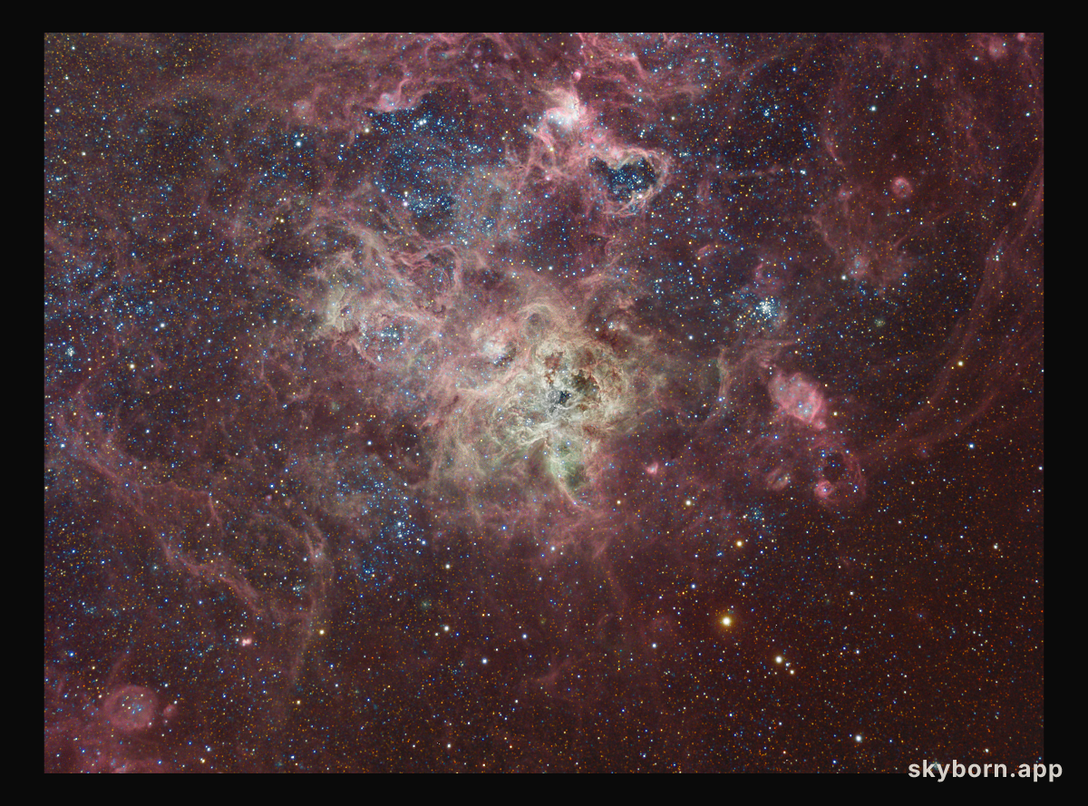 The Tarantula Nebula