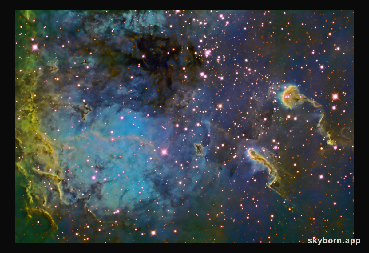 The Tadpoles of IC 410