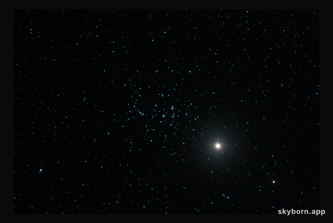 Saturn in the Hive