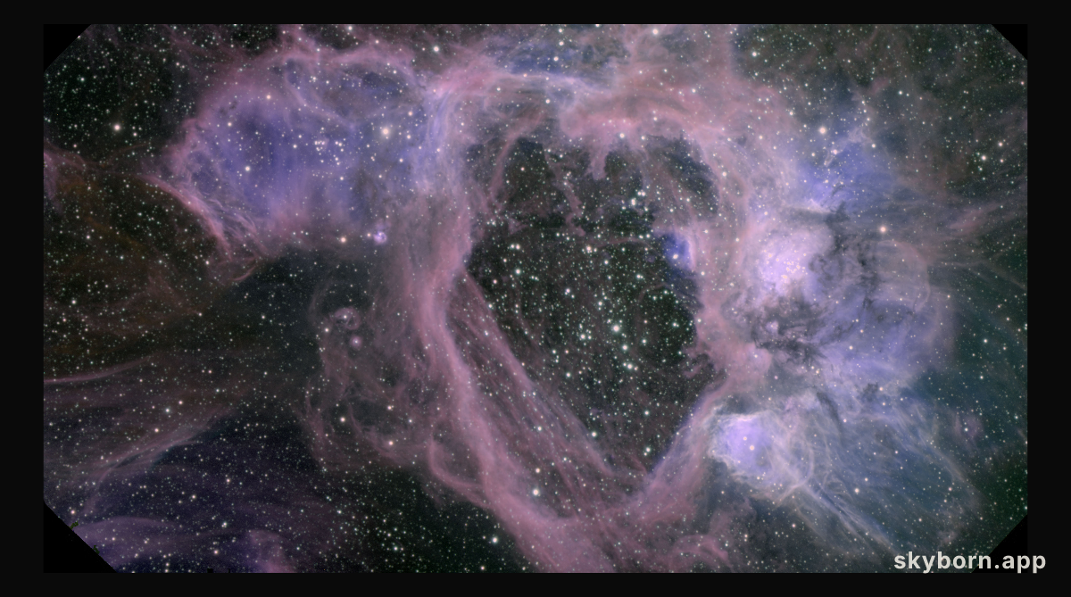 The N44 Superbubble