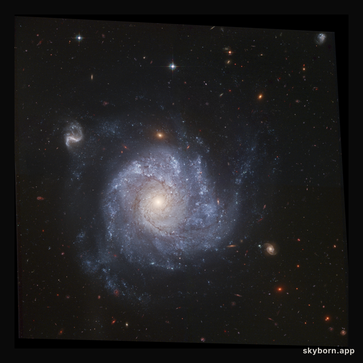 NGC 1309 and Friends