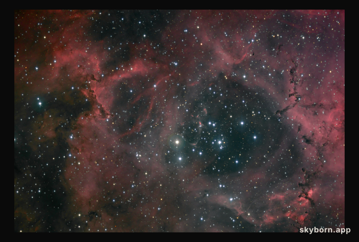 Dust and Light in the Rosette Nebula