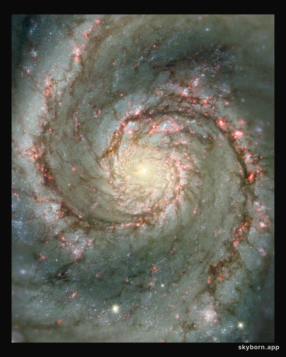 M51: The Whirlpool Galaxy in Dust and Stars