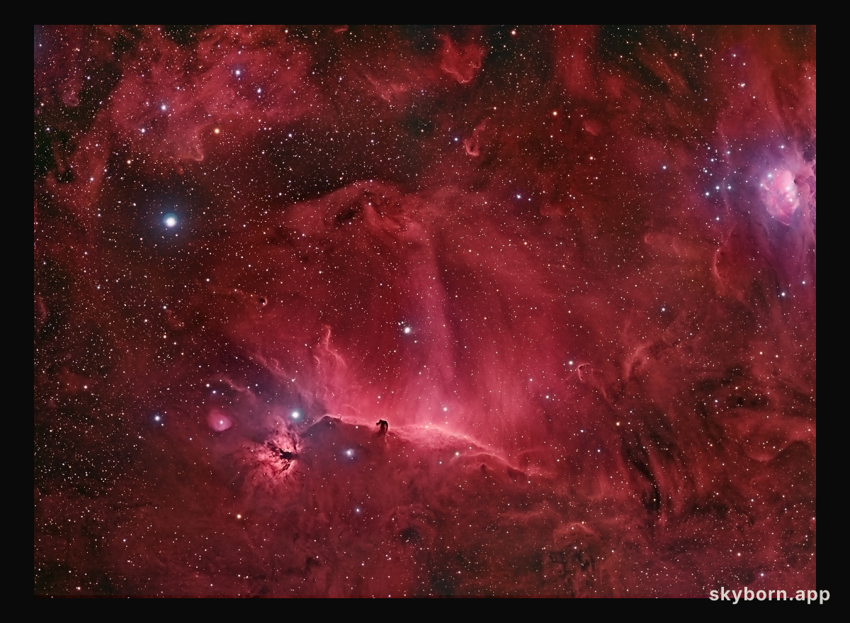 Wisps Surrounding the Horsehead Nebula