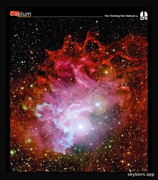 The Flaming Star Nebula from CFHT