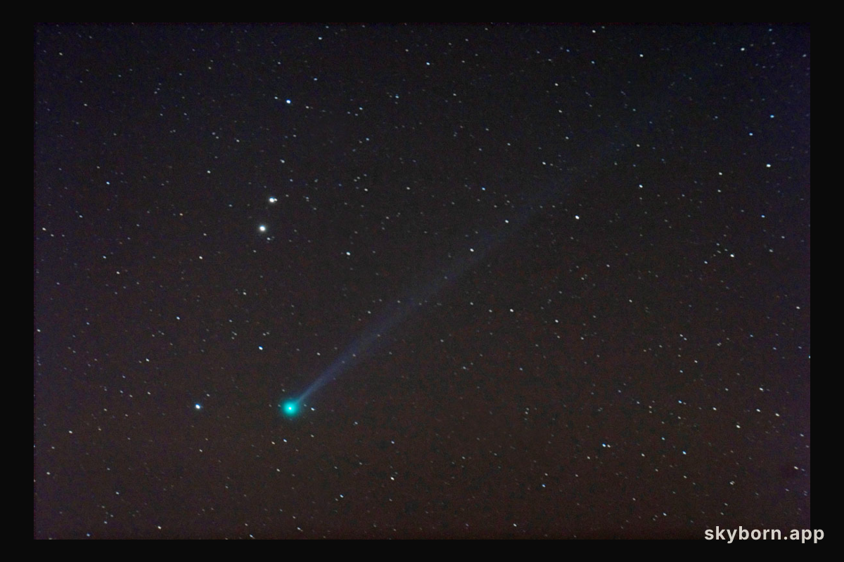 Unexpected Comet Pojmanski Now Visible