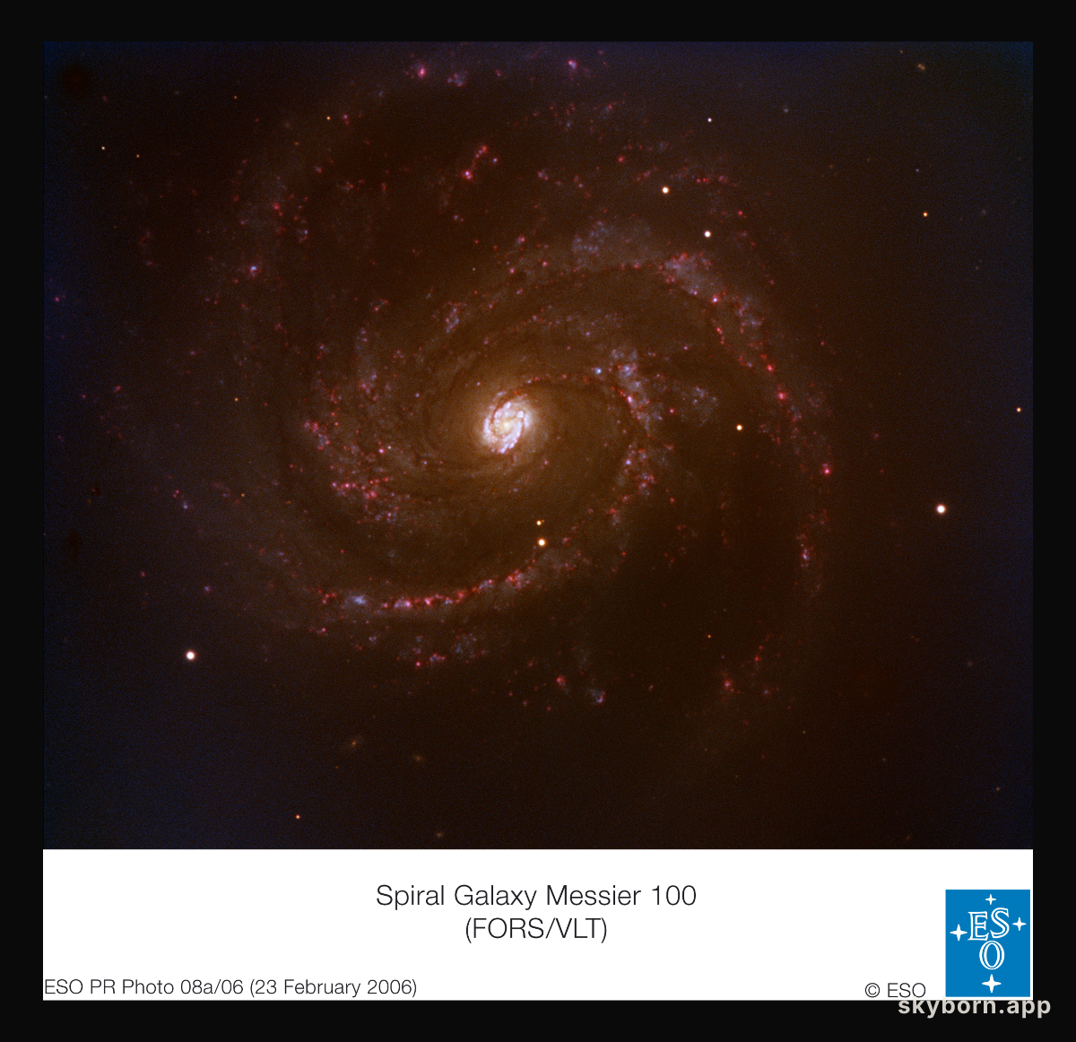 A Nearby Supernova in Spiral Galaxy M100