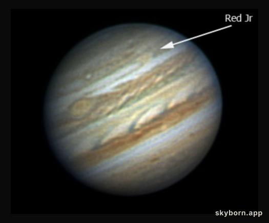 Red Spot Jr.