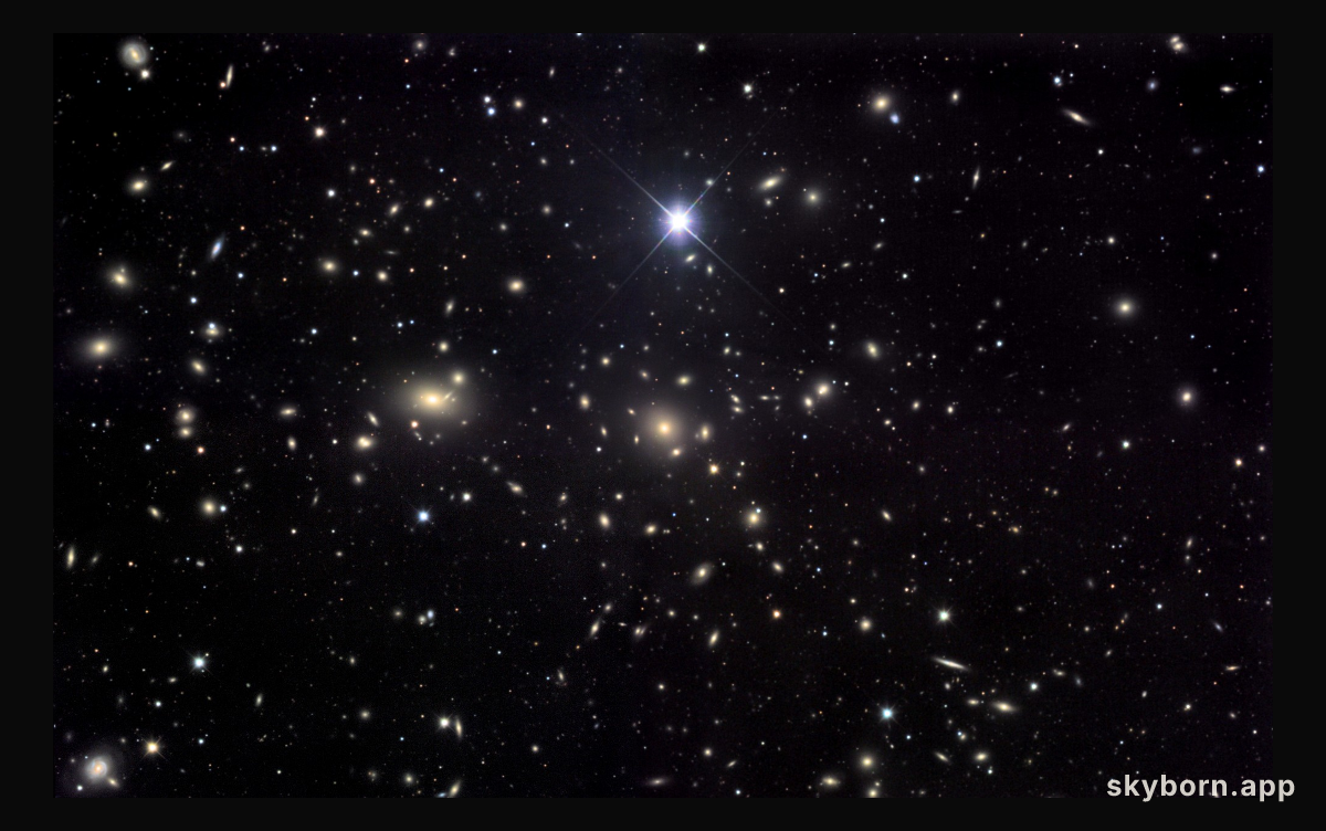 The Coma Cluster of Galaxies