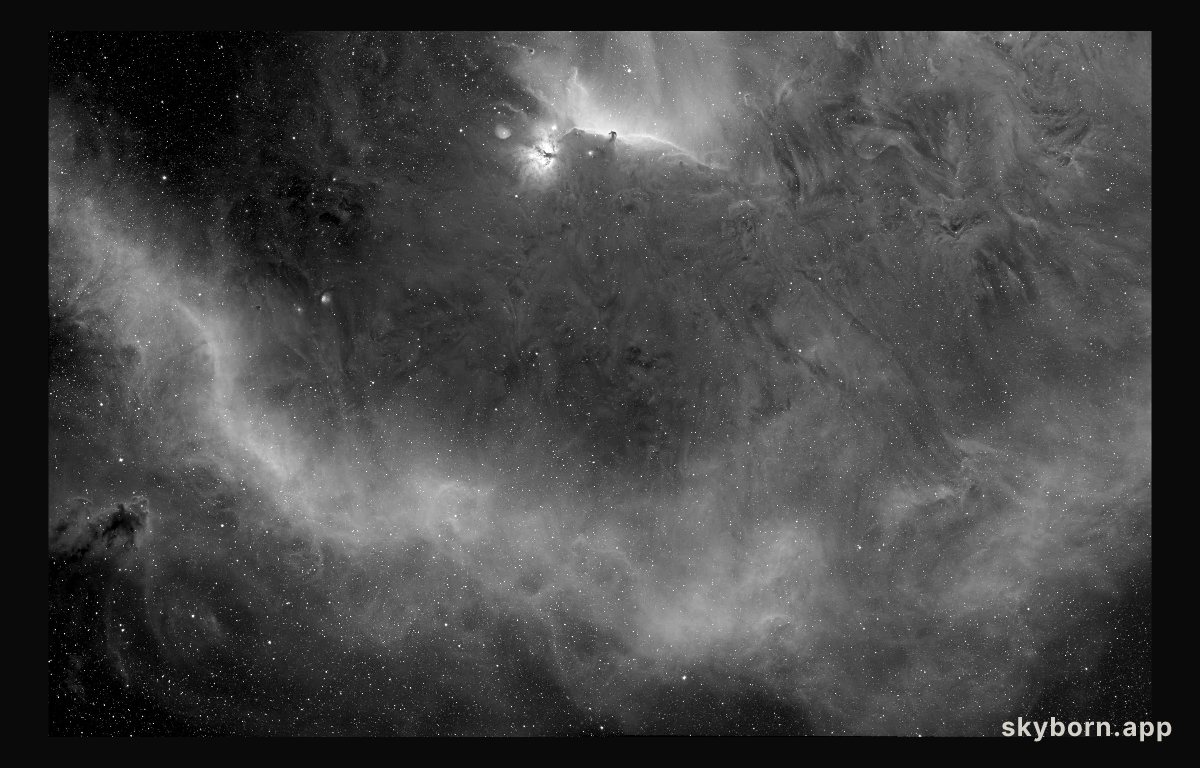 Barnard's Loop around the Horsehead Nebula