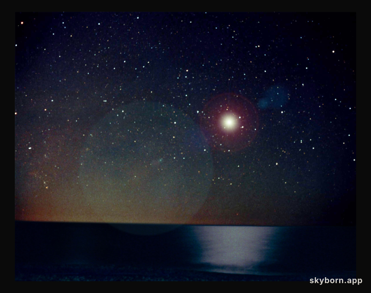 1006 AD: Supernova in the Sky