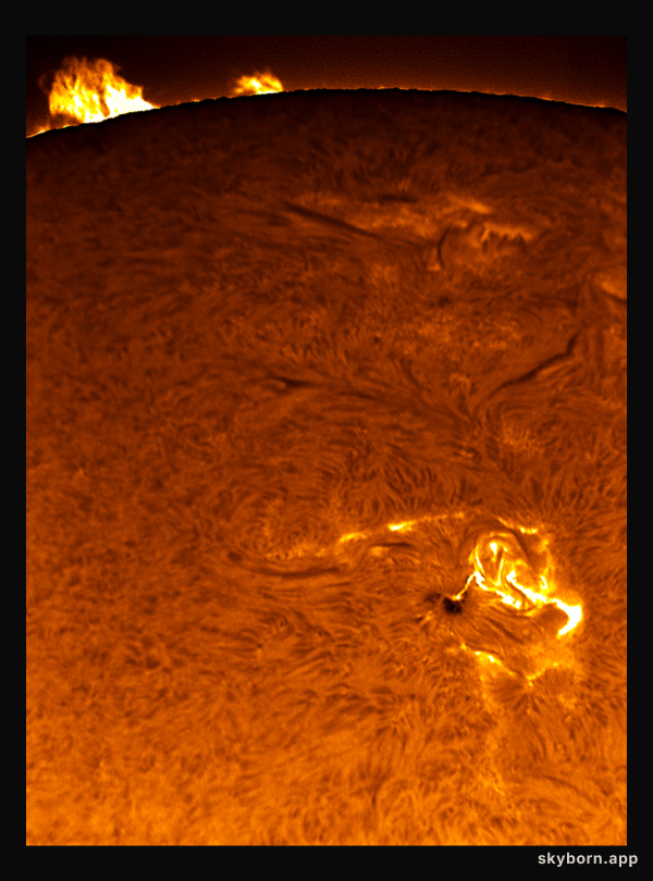 Sunspot 875 Flares
