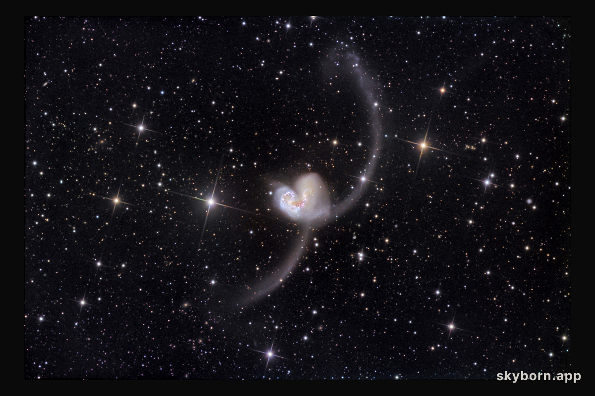 The Antennae