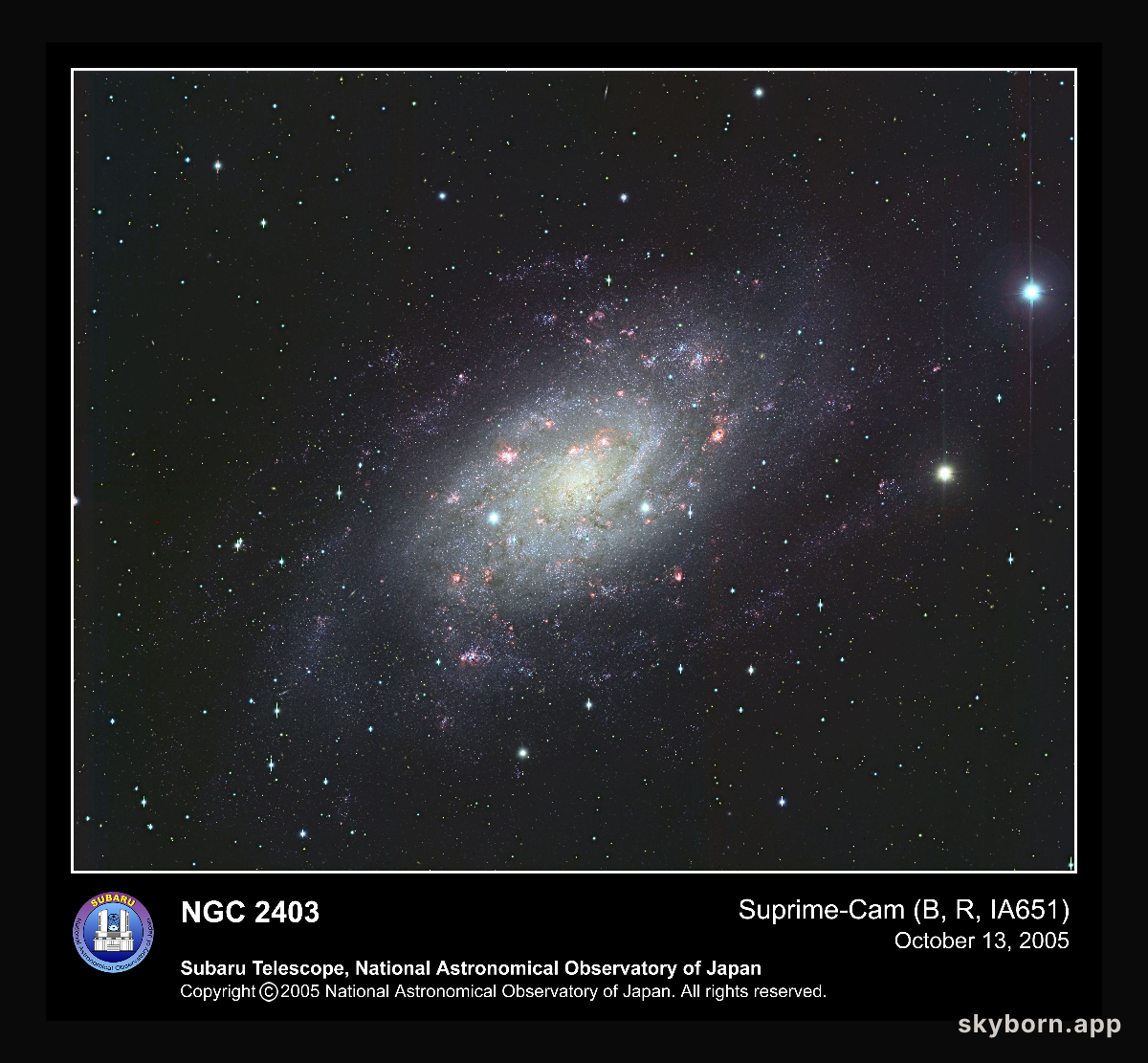 Spiral Galaxy NGC 2403 from Subaru