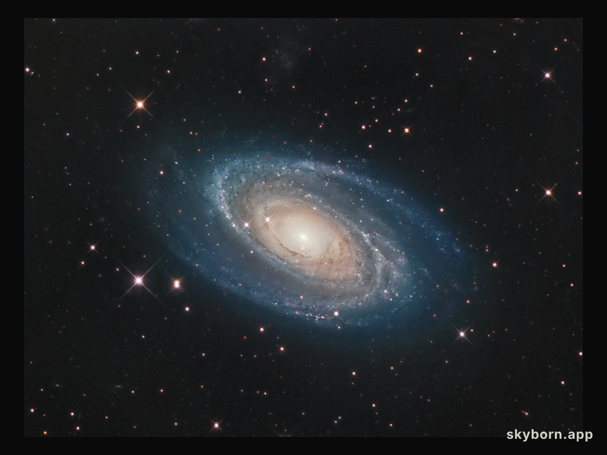Bright Galaxy M81