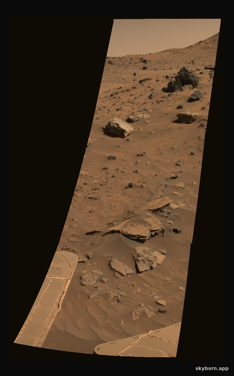Strangers on Mars