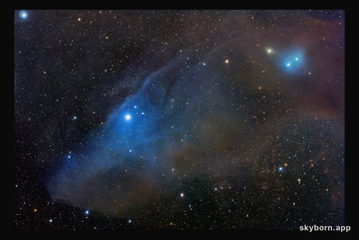 Horse Head Shaped Reflection Nebula IC 4592