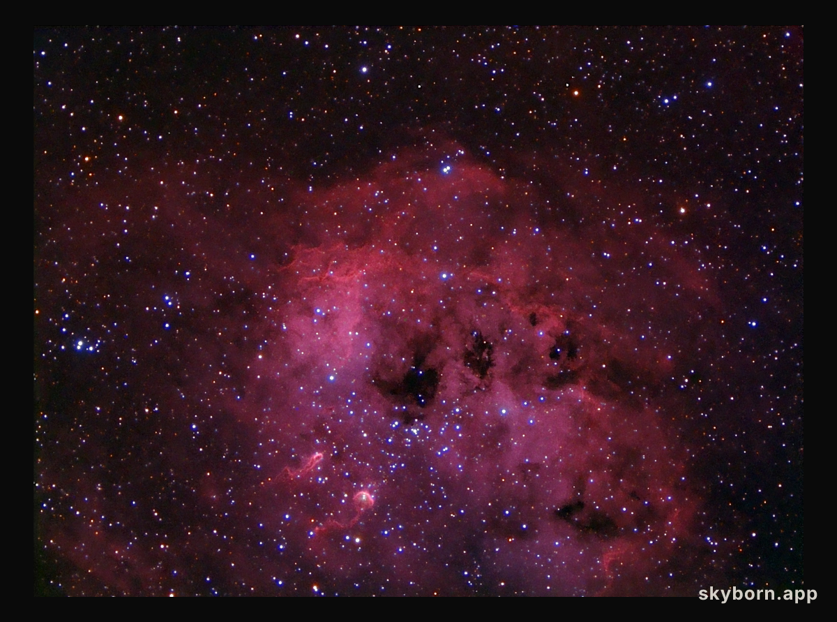 IC 410 and NGC 1893