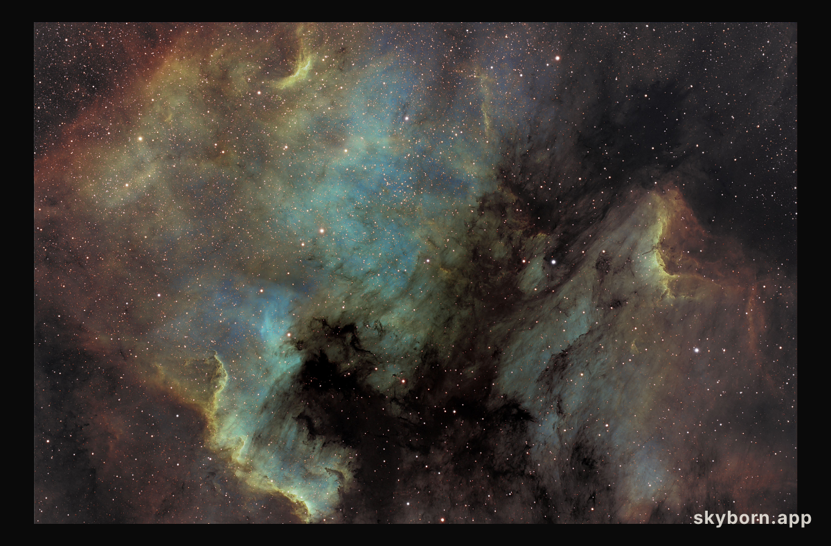 The North America and Pelican Nebulas