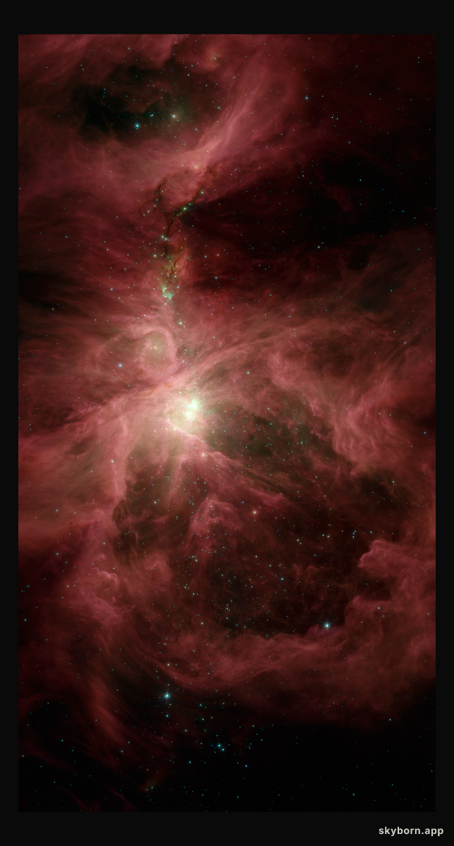 Spitzer's Orion