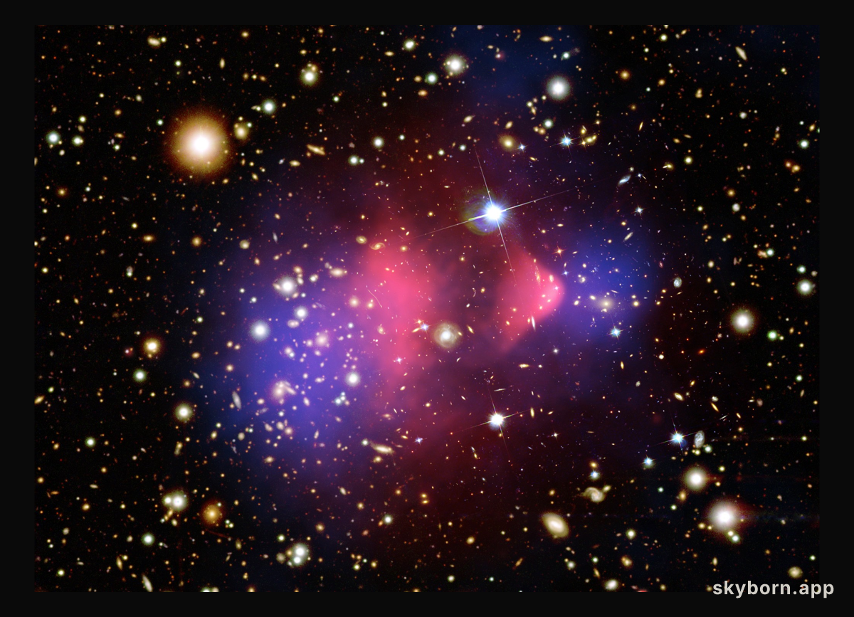 The Matter of the Bullet Cluster