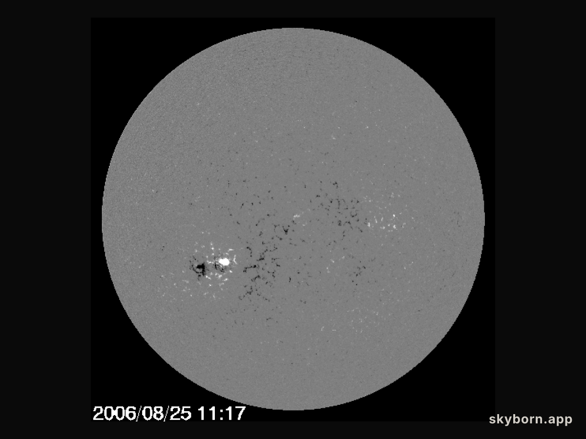 A Backward Sunspot and the New Solar Cycle