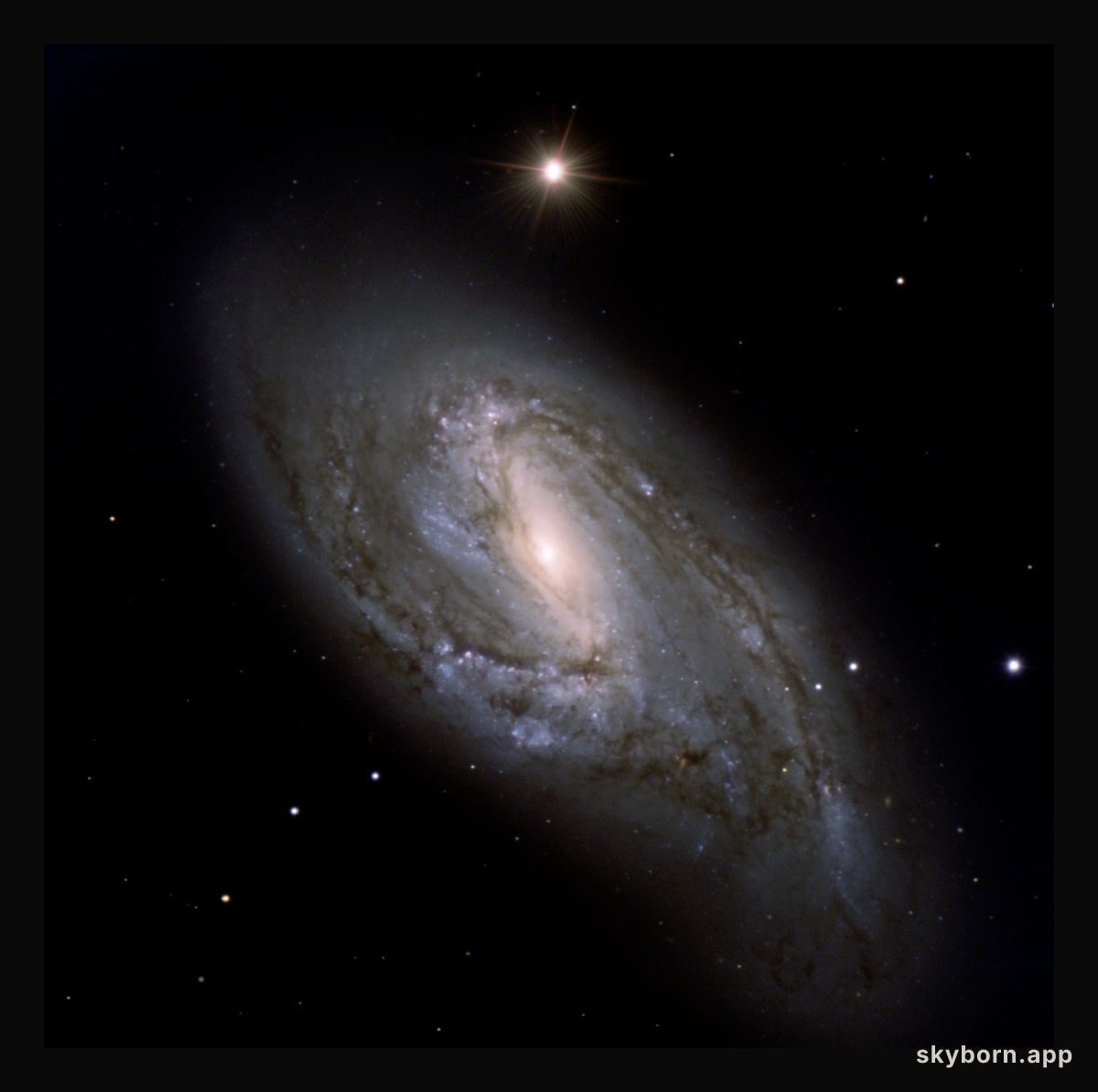 Dusty Spiral M66