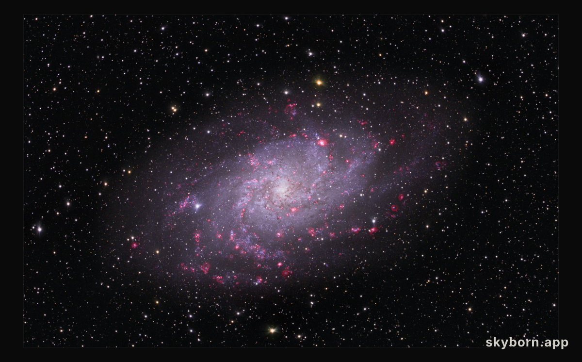 M33: Spiral Galaxy in Triangulum