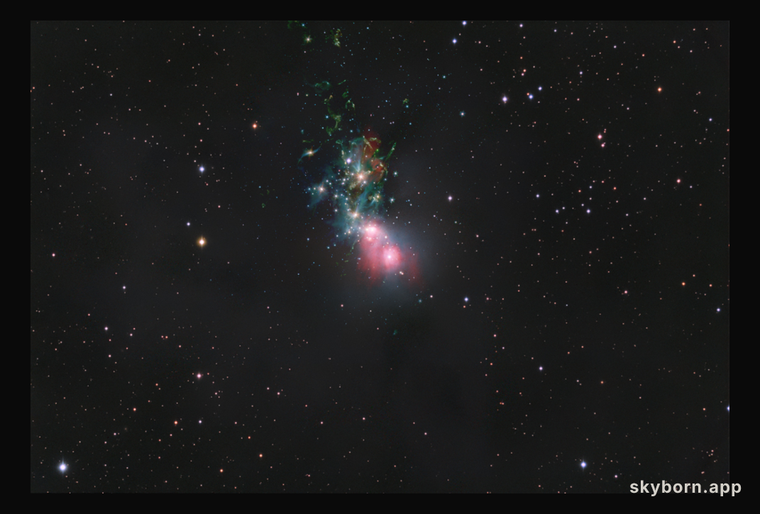 Dusty NGC 1333