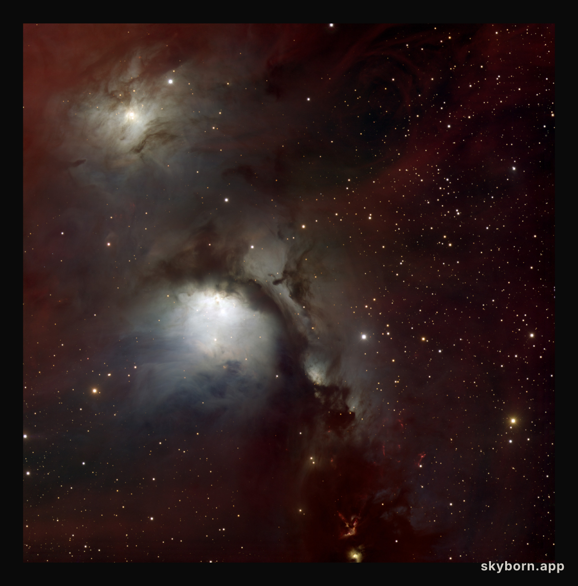 Reflection Nebulas in Orion