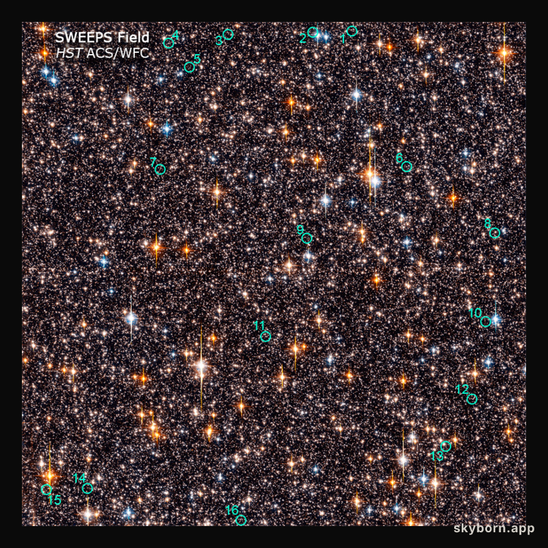 The Hubble SWEEPS Field