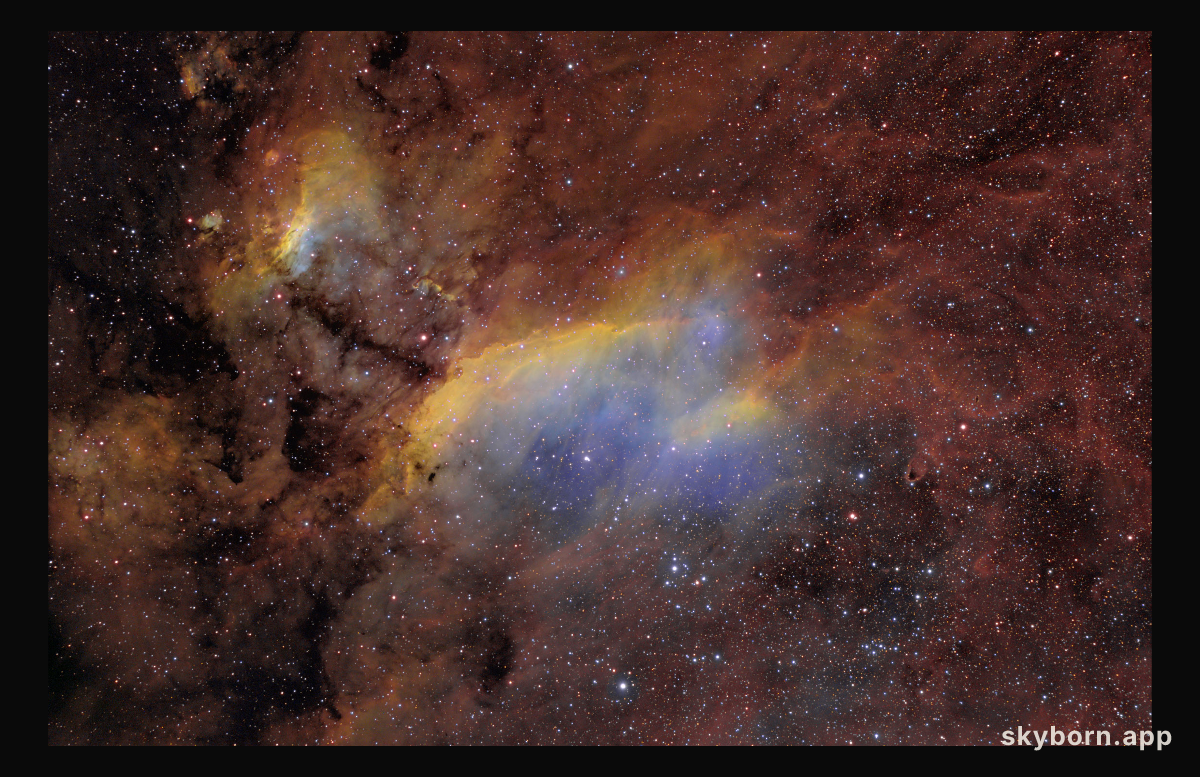IC 4628: The Prawn Nebula