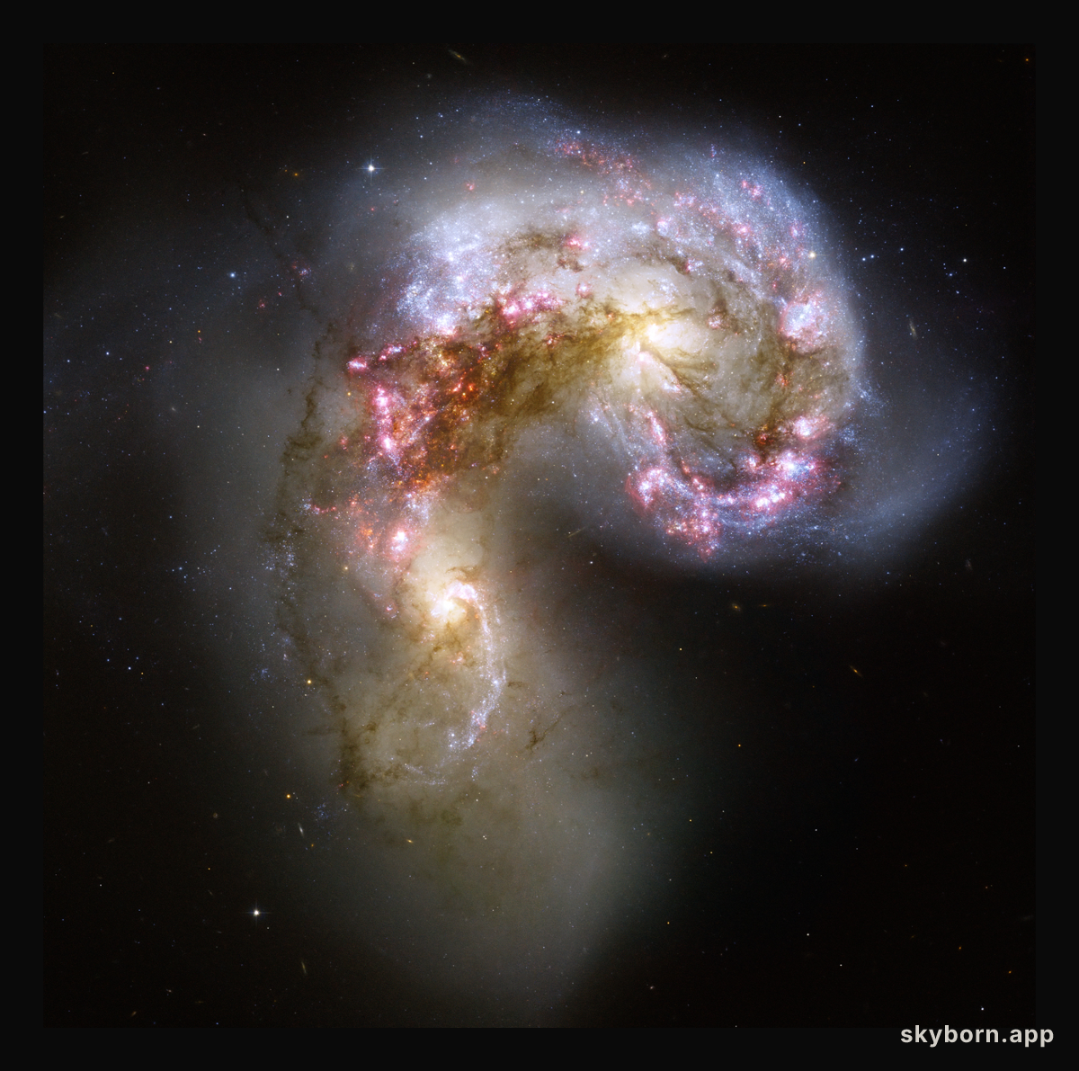 The Antennae Galaxies in Collision