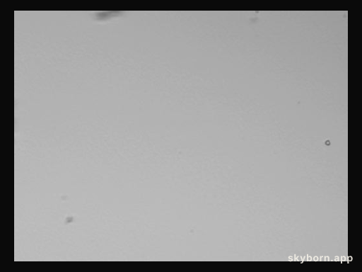 Help Search for Interstellar Dust