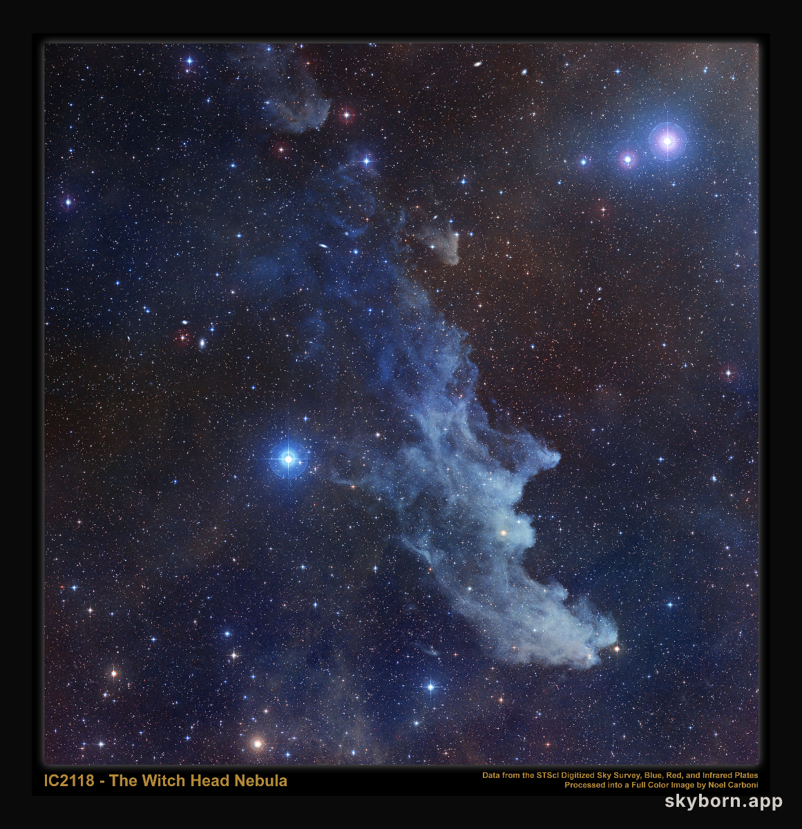 IC 2118: The Witch Head Nebula