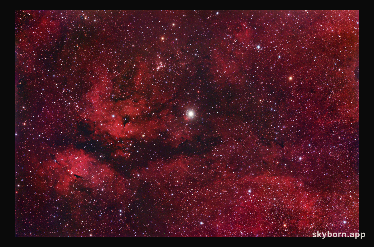 Central Cygnus