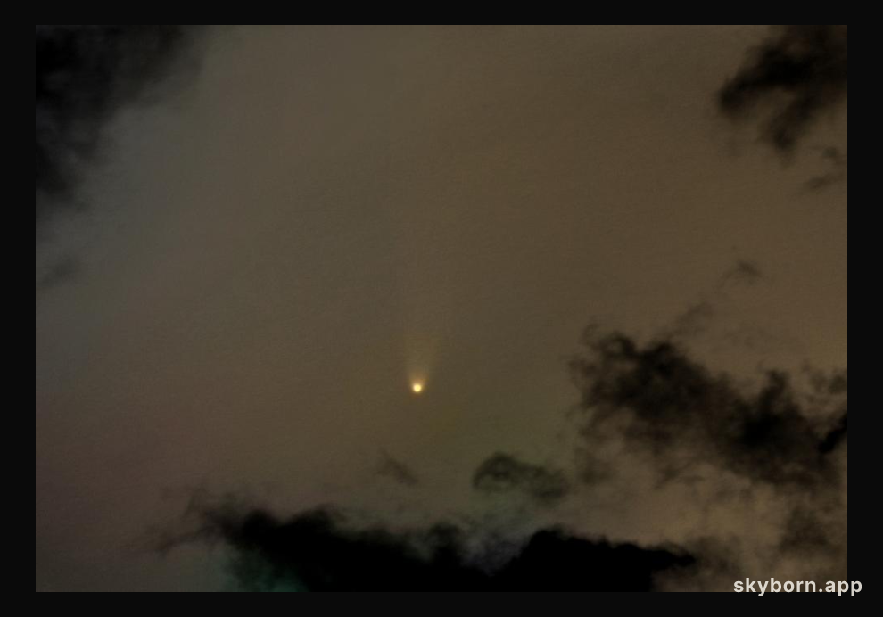 Comet McNaught Heads for the Sun