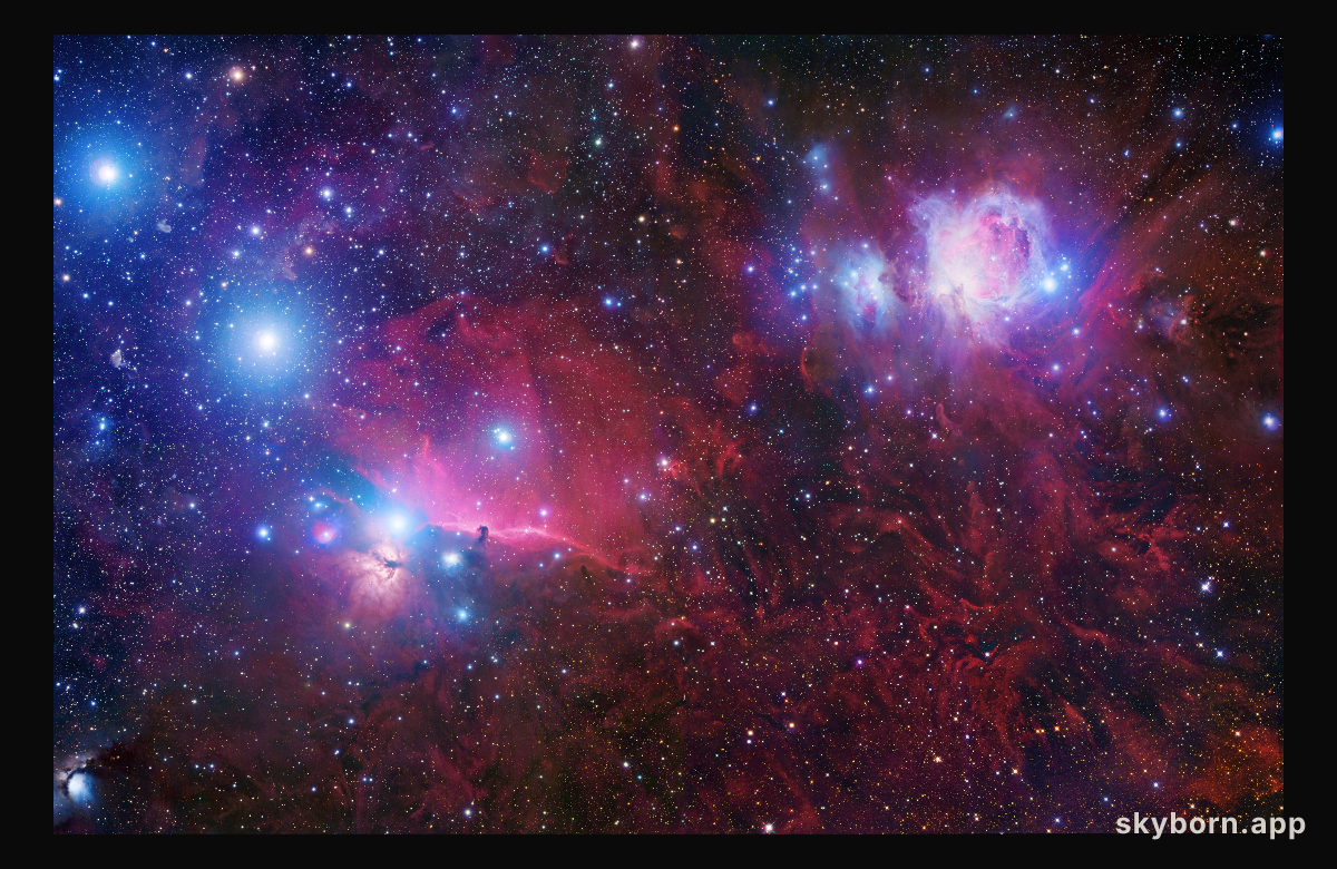 The Orion Deep Field