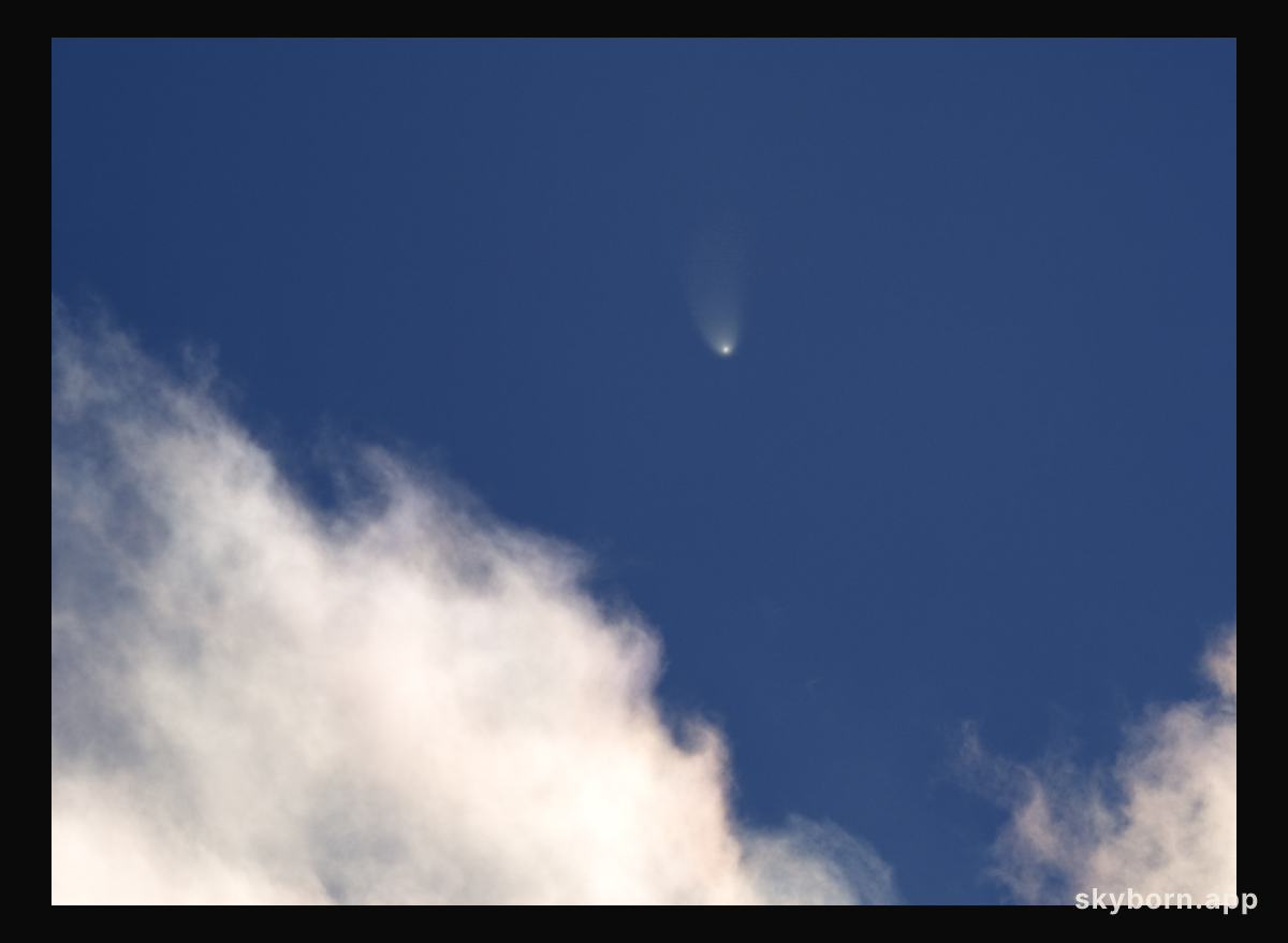 McNaught's Matinee