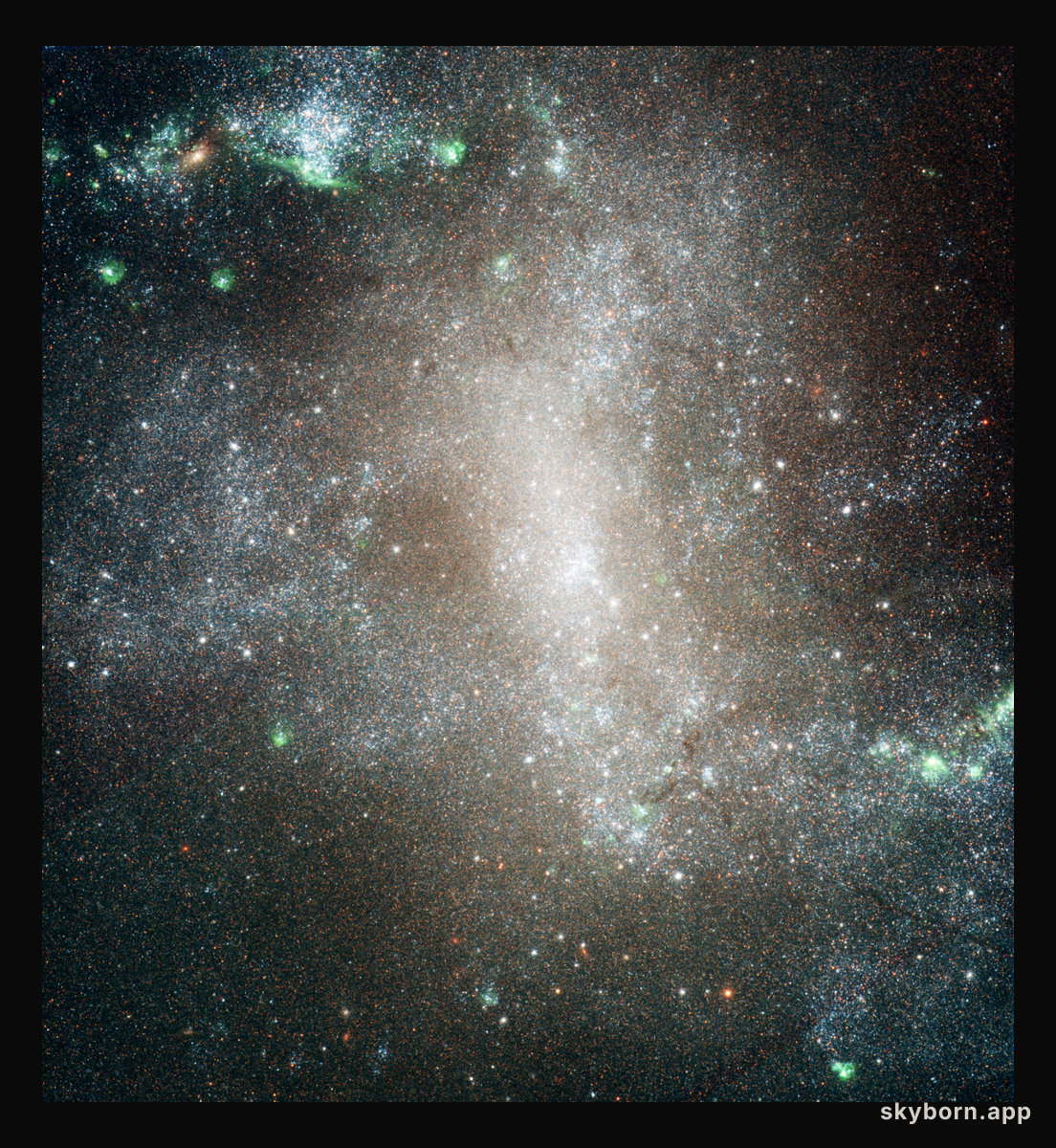 The Star Clusters of NGC 1313