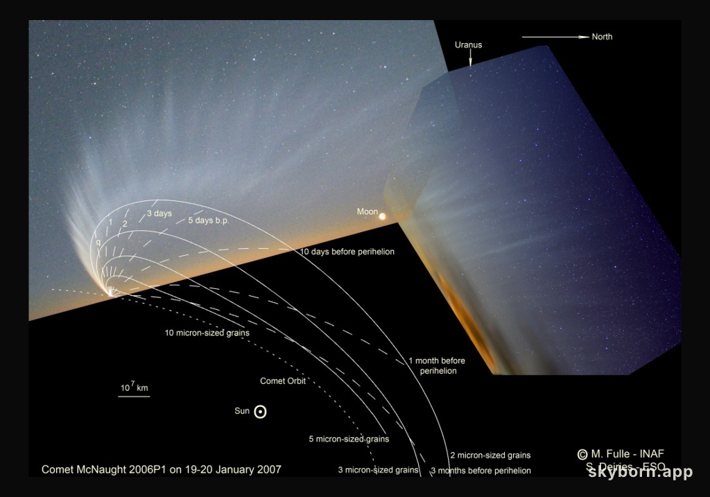 A Tail of Two Hemispheres