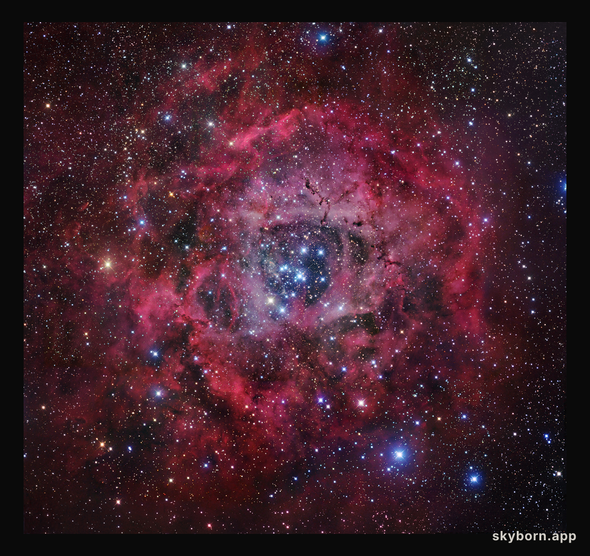 The Rosette Nebula