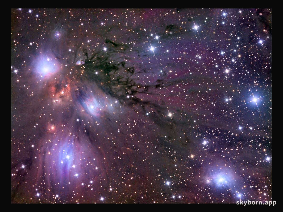 Stars, Dust and Nebula in NGC 2170