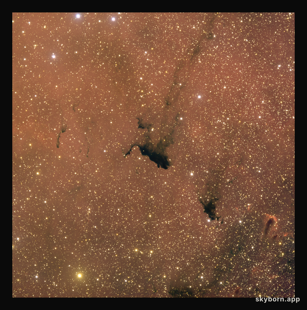 Molecular Cloud Barnard 163