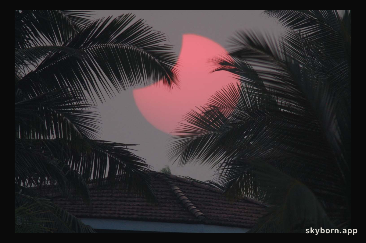 Goa Silhouettes