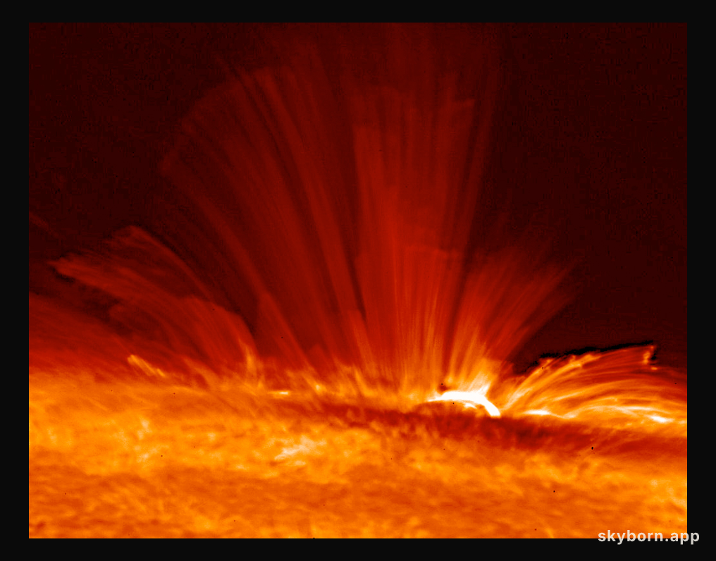 An Active Sunspot Viewed Sideways