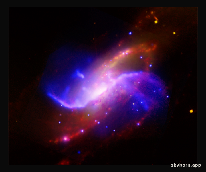 The Arms of NGC 4258