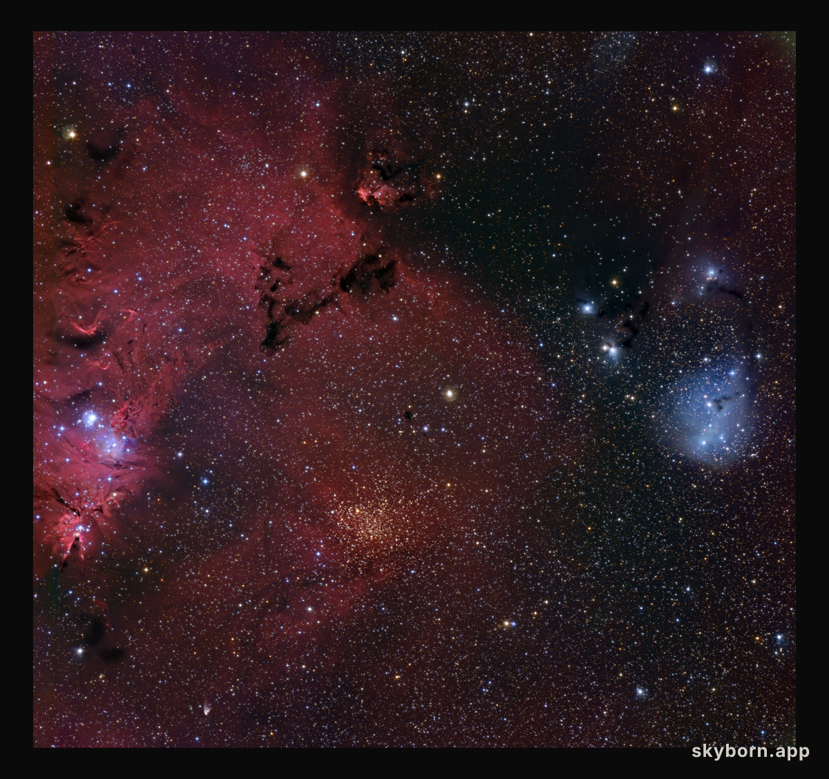 The Cone Nebula Neighborhood